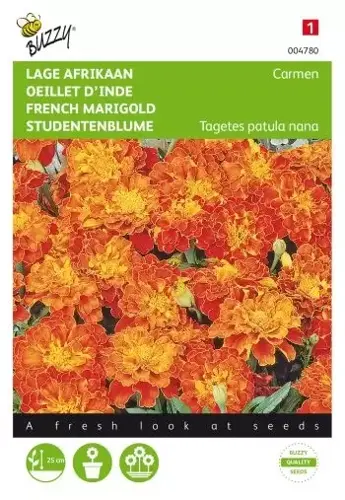 Buzzy® Tagetes, lage Afrikaan Carmen