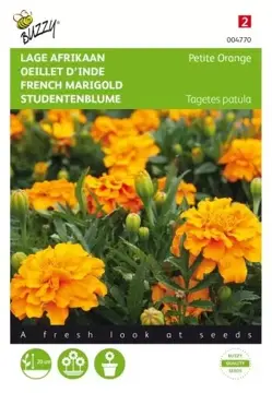 Buzzy® Tagetes, lage Afrikaan Petite Orange