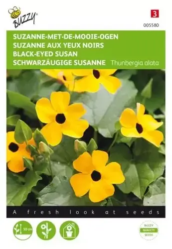 Buzzy® Thunbergia, Suzanne-met-de-mooie-ogen