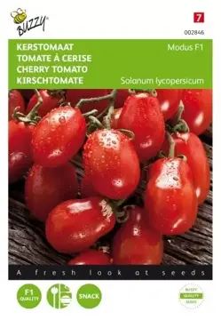 Buzzy® Tomaten Modus F1