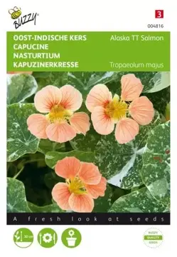 Buzzy® Tropaeolum, Oost-indische kers Alaska TT Salmon