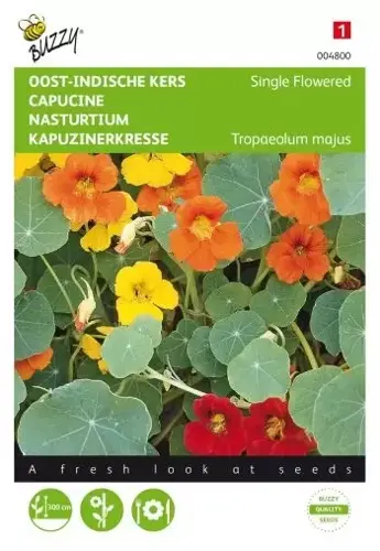 Buzzy® Tropaeolum, Oost-Indische kers enkelbloemig gemengd