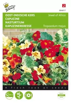 Buzzy® Tropaeolum, Oost-Indische kers Jewel of Africa