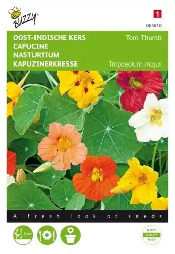 Buzzy® Tropaeolum, Oost-Indische kers Tom Thumb gemengd