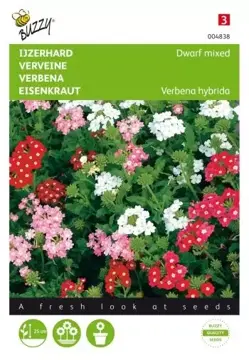 Buzzy® Verbena, IJzerhard compact kleurenmengsel