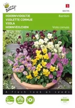 Buzzy® Viola, Hoornviooltje Bambini gemengd