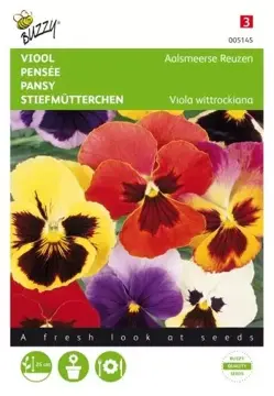 Buzzy® Viola, Viool Aalsmeerse Reuzen gemengd