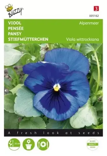 Buzzy® Viola, Viool Alpenmeer blauw