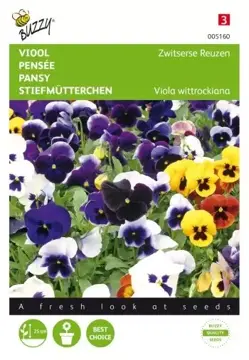 Buzzy® Viola, Viool Zwitserse Reuzen gemengd