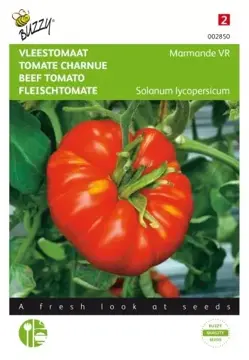 Buzzy® Vleestomaat Marmande VR