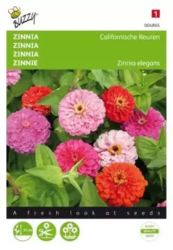 Buzzy® Zinnia Californische Reuzen gemengd