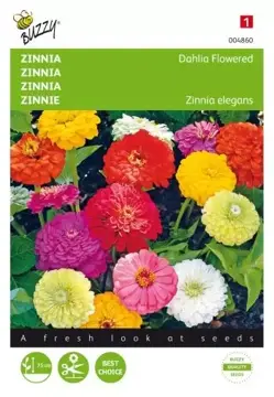 Buzzy® Zinnia Dahliabloemig gemengd