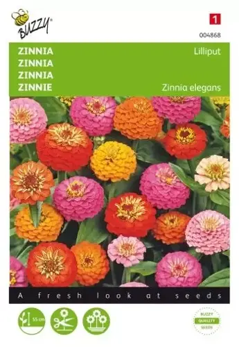 Buzzy® Zinnia Lilliput gemengd