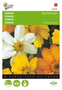 Buzzy® Zinnia Star Starbright gemengd