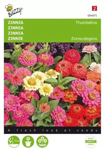 Buzzy® Zinnia Thumbelina gemengd