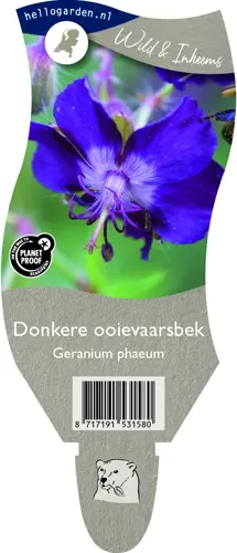 Donkere ooievaarsbek