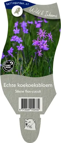 Echte koekoeksbloem