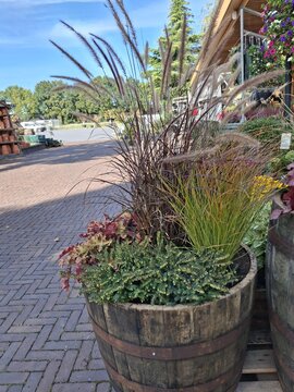 Half Whiskey vat met sierlijke winter beplanting - afbeelding 2