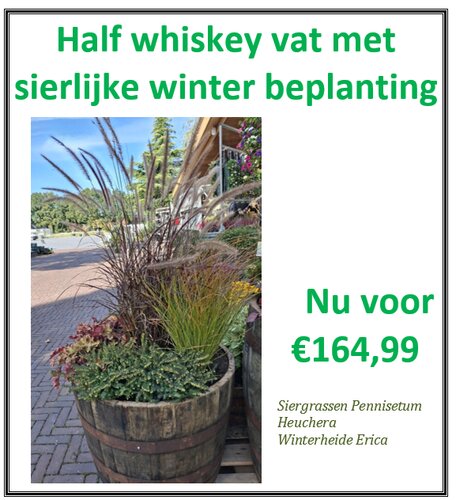 Half Whiskey vat met sierlijke winter beplanting - afbeelding 1