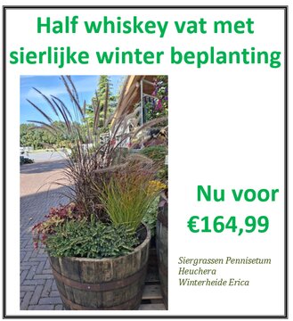 Half Whiskey vat met sierlijke winter beplanting - afbeelding 1