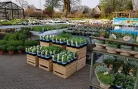 Kruiden