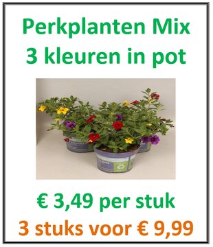 Perkplanten Mix