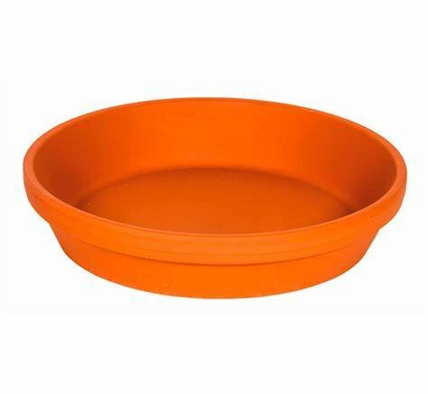 UNI schotel 37/40 TC impreg. Ø40cm/ H7cm