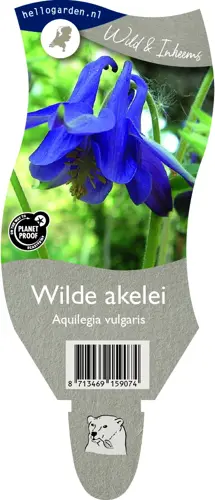 Wilde akelei