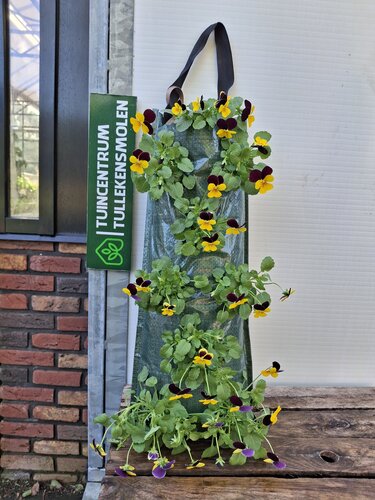 Winter Wandhanger Violen - afbeelding 1