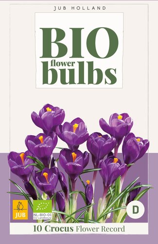 X 10 CROCUS FLOWER RECORD - BIO 7/+