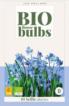 X 10 SCILLA SIBERICA - BIO 6/+