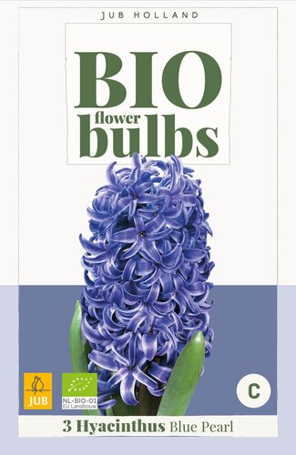 X   3 HYACINTHUS BLUE PEARL - BIO 14/+