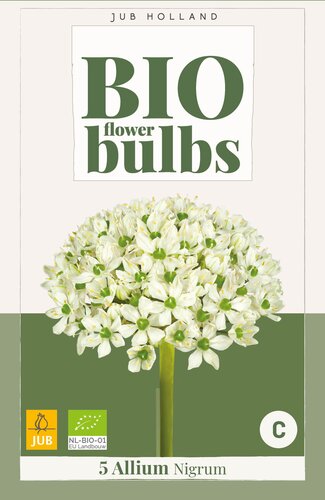 X   5 ALLIUM NIGRUM - BIO 8/+
