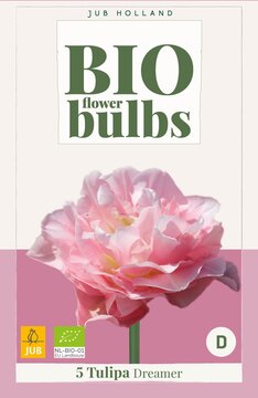 X   5 TULIPA DREAMER - BIO 11/+