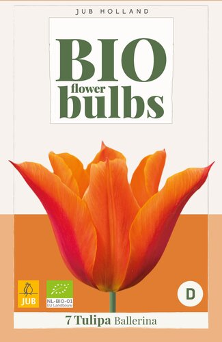 X   7 TULIPA BALLERINA - BIO 11/+