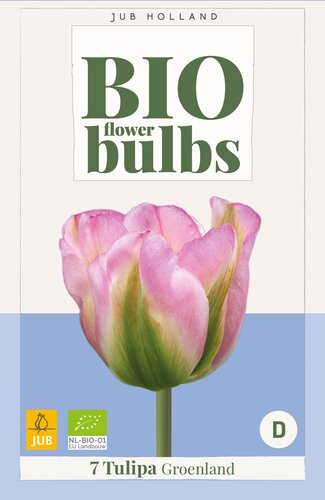 X   7 TULIPA GROENLAND - BIO 11/+