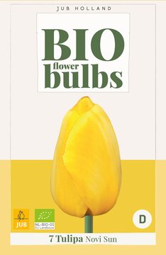 X   7 TULIPA NOVI SUN - BIO 11/+