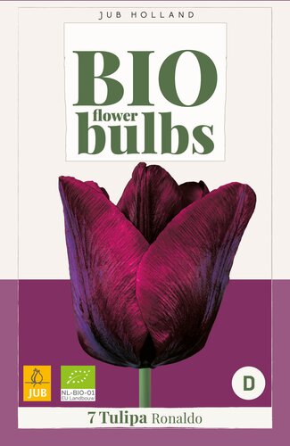 X   7 TULIPA RONALDO - BIO 11/+