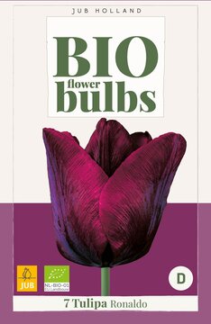 X   7 TULIPA RONALDO - BIO 11/+